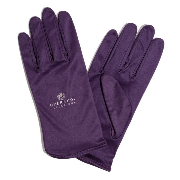 Premium Watch Polishing Glove Set